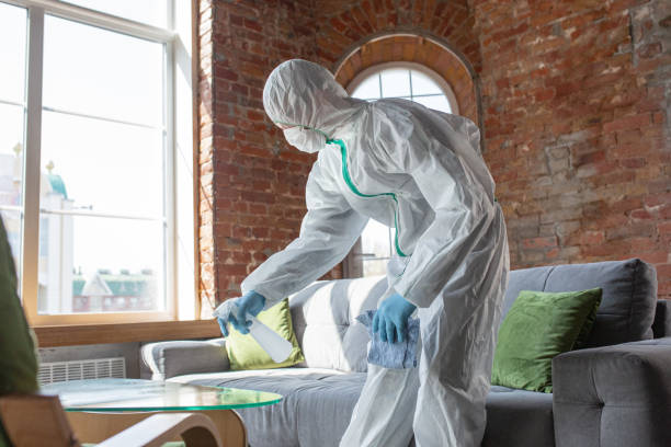 Best Attic Mold Removal  in Contoocook, NH